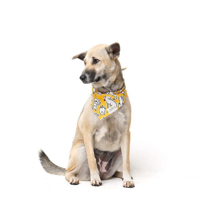 The Paws Bandana, Day Out Hundehalstücher