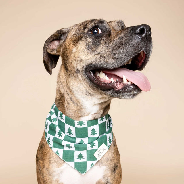 The Paws Bandana, Spruce Hundehalstücher