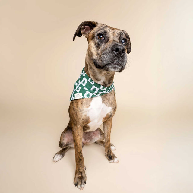 The Paws Bandana, Spruce Hundehalstücher