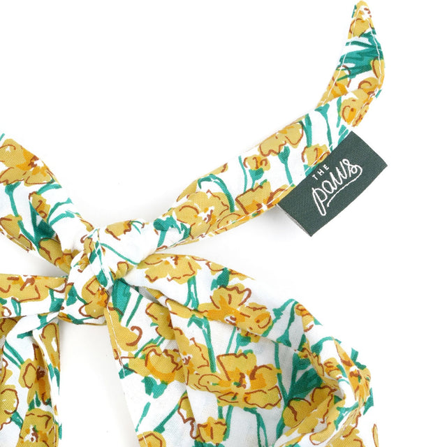 The Paws Bandana, Buttercup Hundehalstücher