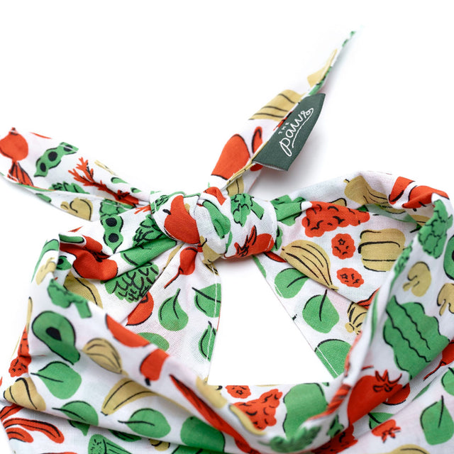 The Paws Bandana, Farmers Market Hundehalstücher