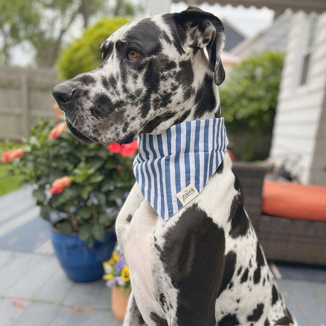 The Paws Bandana, Harbour Hundehalstücher