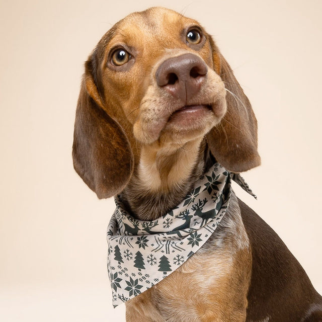 Bandana, Hygge Christmas