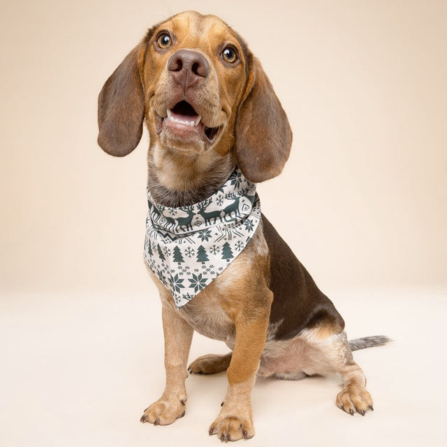 The Paws Bandana, Hygge Christmas Hundehalstücher