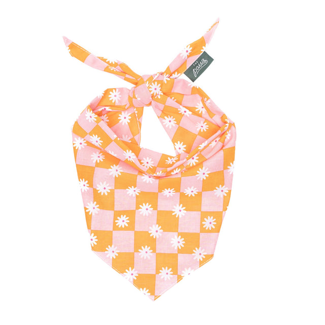 The Paws Bandana, Hula Hundehalstücher