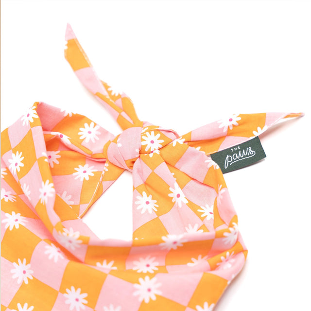 The Paws Bandana, Hula Hundehalstücher