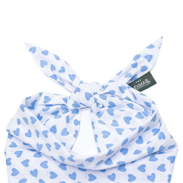The Paws Bandana, Little Story Hundehalstücher