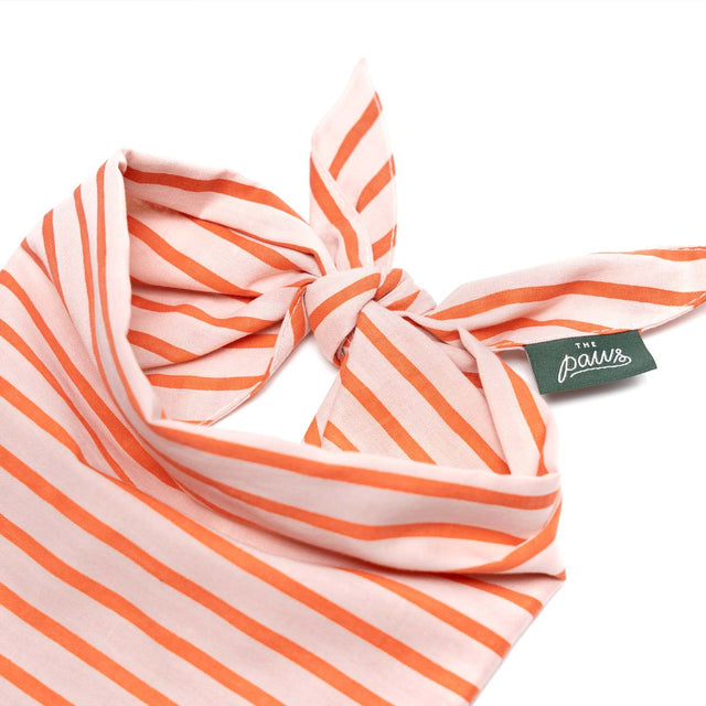 The Paws Bandana, Palm Beach Hundehalstücher