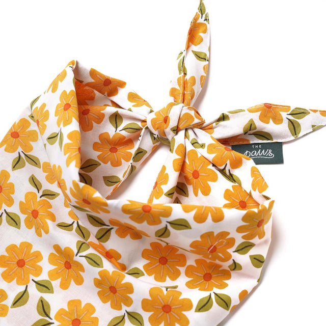 The Paws Bandana, Ringelblumen Hundehalstücher
