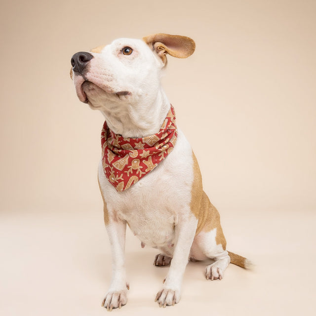 The Paws Bandana, Santa's Cookies Christmas Hundehalstücher