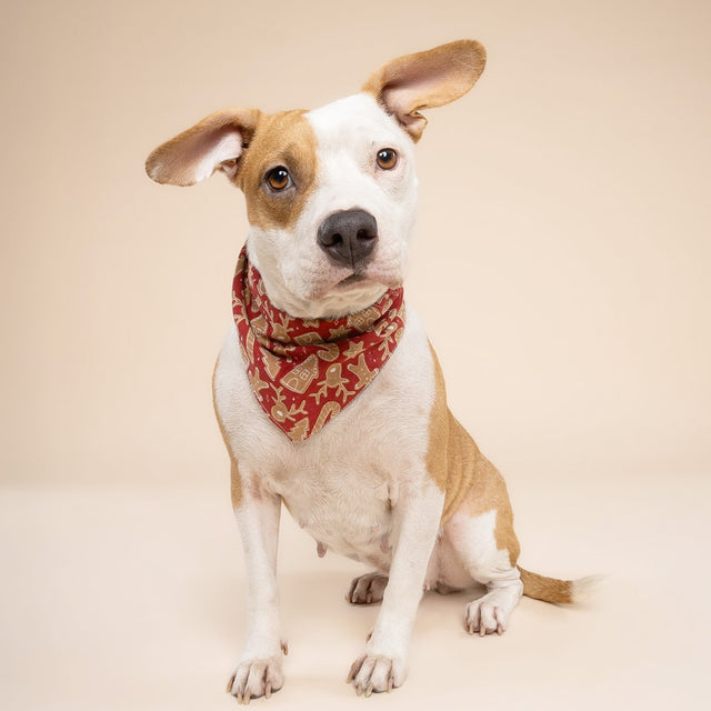 Bandana, Santa's Cookies Christmas