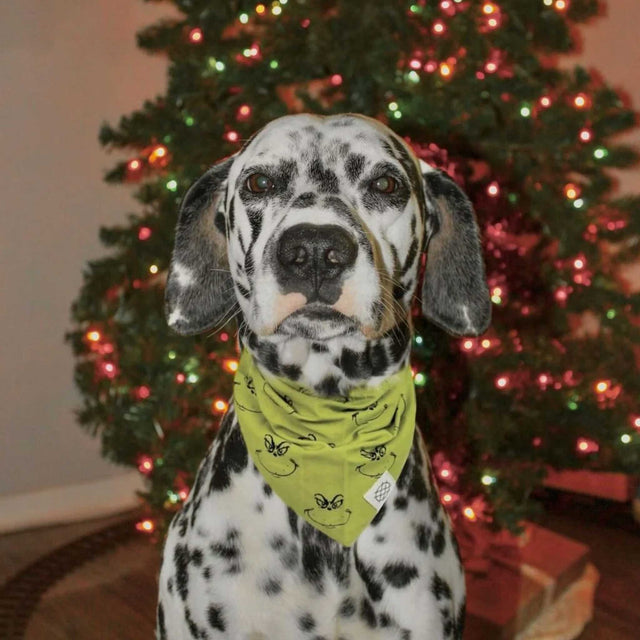 The Paws Bandana, Grinch Hundehalstücher