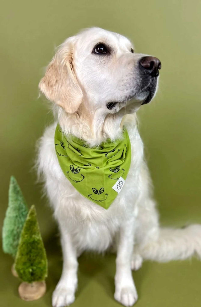 The Paws Bandana, Grinch Hundehalstücher