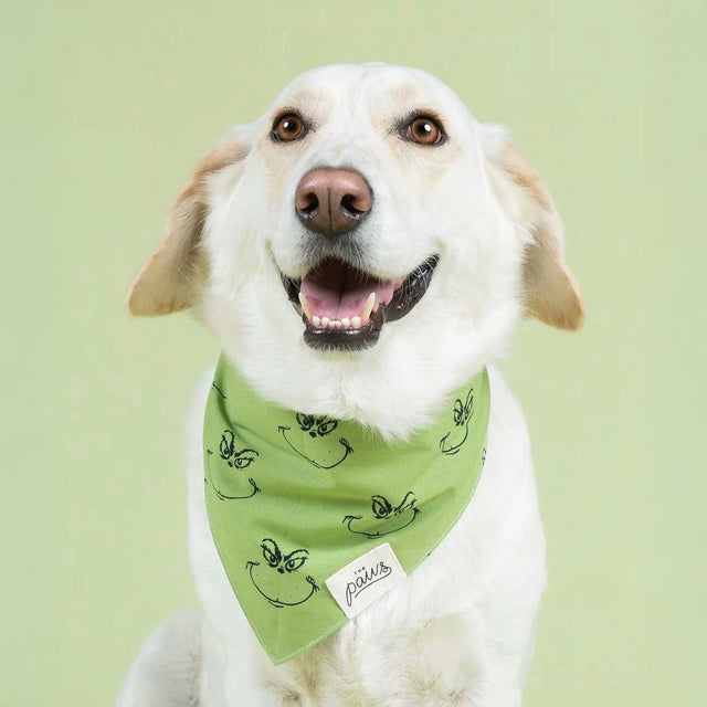 The Paws Bandana, Grinch Hundehalstücher