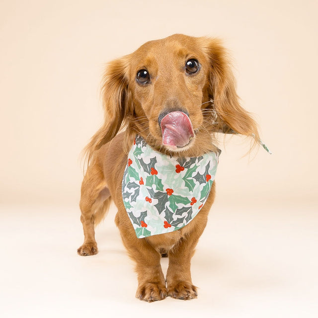 The Paws Bandana, Yule Hundehalstücher