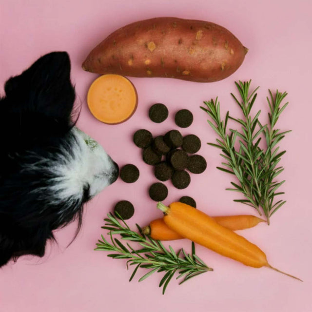 Tierliebhaber Analdrüsen Drops Funktionssnack