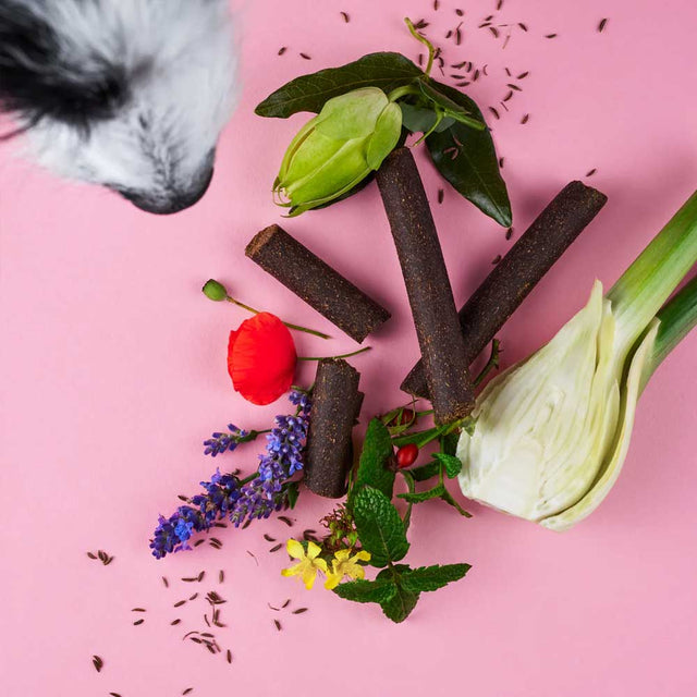 Tierliebhaber Chillout Sticks Funktionssnack