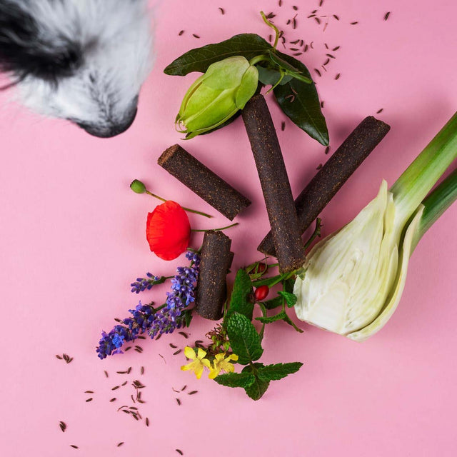 Tierliebhaber Chillout Sticks Funktionssnack