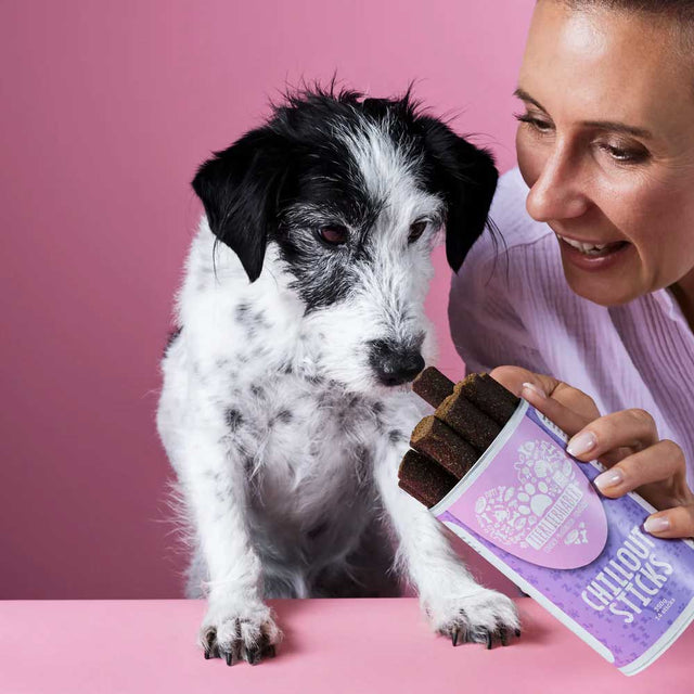 Tierliebhaber Chillout Sticks Funktionssnack