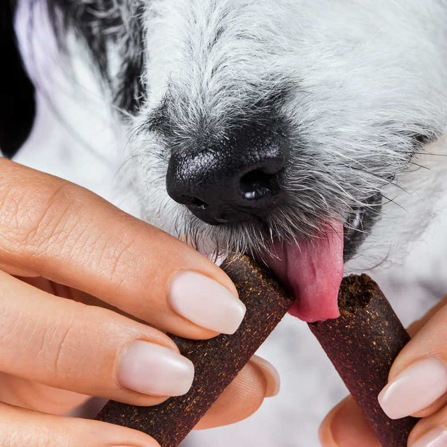 Tierliebhaber Chillout Sticks Funktionssnack