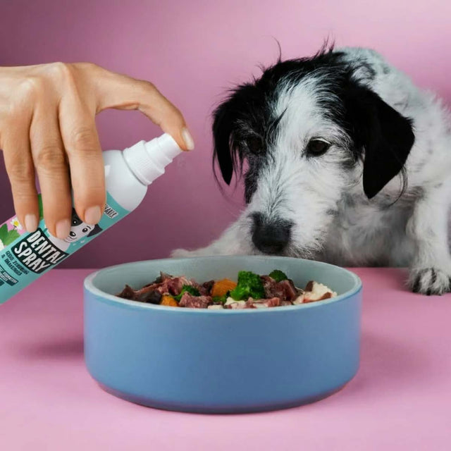 Tierliebhaber Dental Spray Zahnpflege