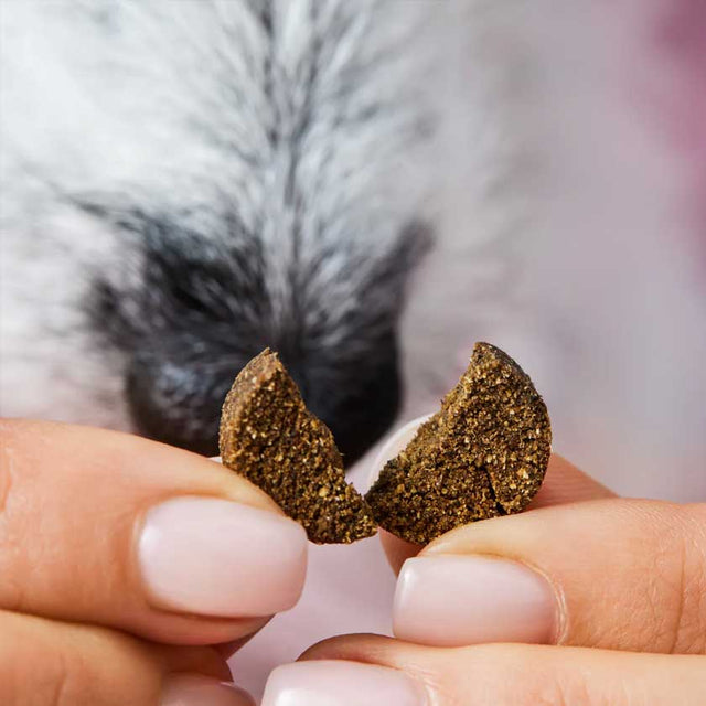 Tierliebhaber Gras & Kotfresser Drops Funktionssnack