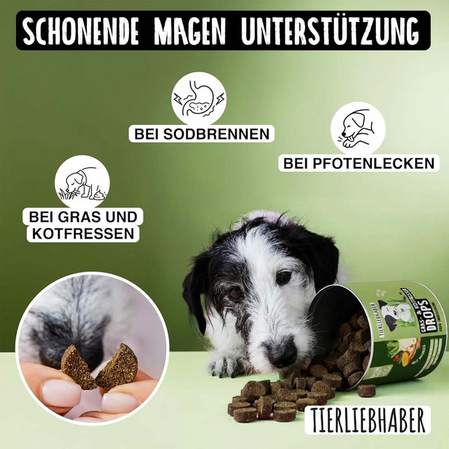 Tierliebhaber Gras & Kotfresser Drops Funktionssnack