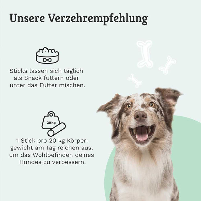 Tierliebhaber Darmwohl-Sticks Funktionssnack