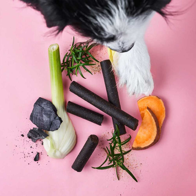 Tierliebhaber Darmwohl-Sticks Funktionssnack