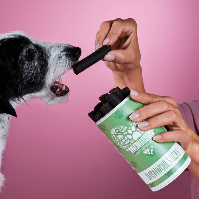 Tierliebhaber Darmwohl-Sticks Funktionssnack