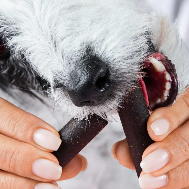 Tierliebhaber Darmwohl-Sticks Funktionssnack