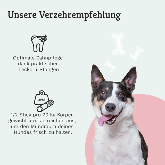 Tierliebhaber Zahnfee-Sticks Zahnpflege