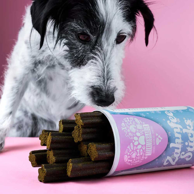 Tierliebhaber Zahnfee-Sticks Zahnpflege