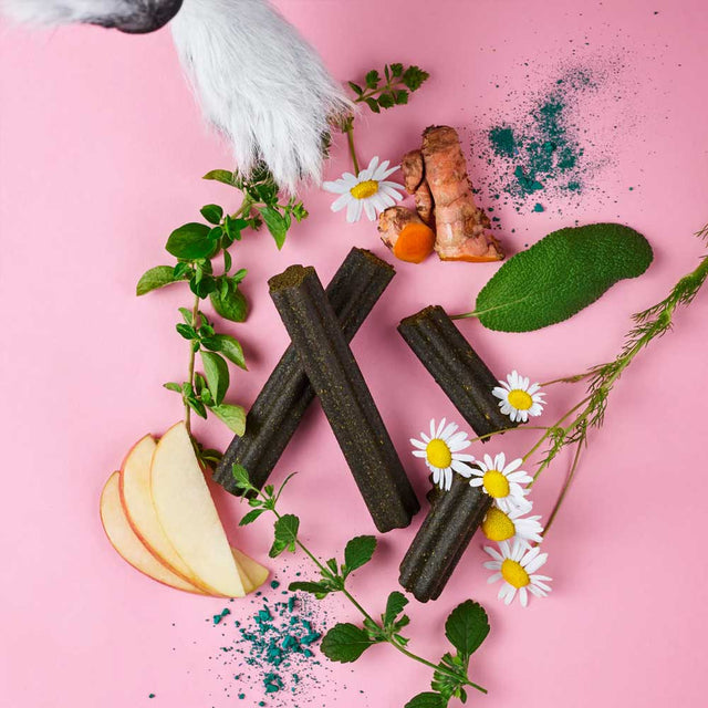 Tierliebhaber Zahnfee-Sticks Zahnpflege