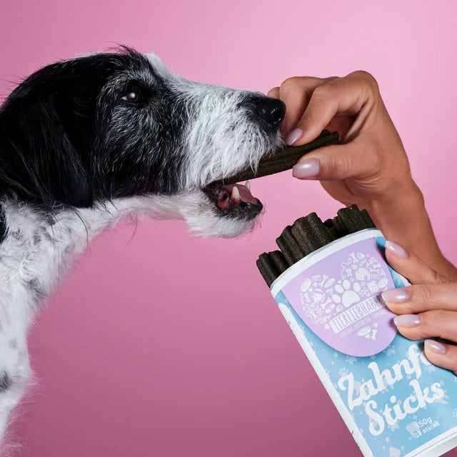 Tierliebhaber Zahnfee-Sticks Zahnpflege