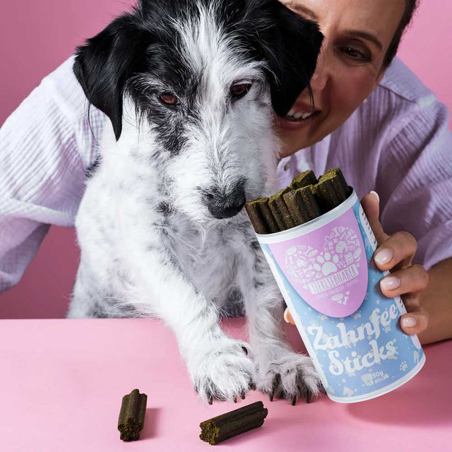 Tierliebhaber Zahnfee-Sticks Zahnpflege