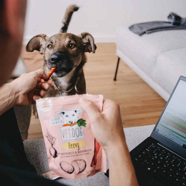 VEGDOG Hundeleckerli Vegan, Beevys Veggie