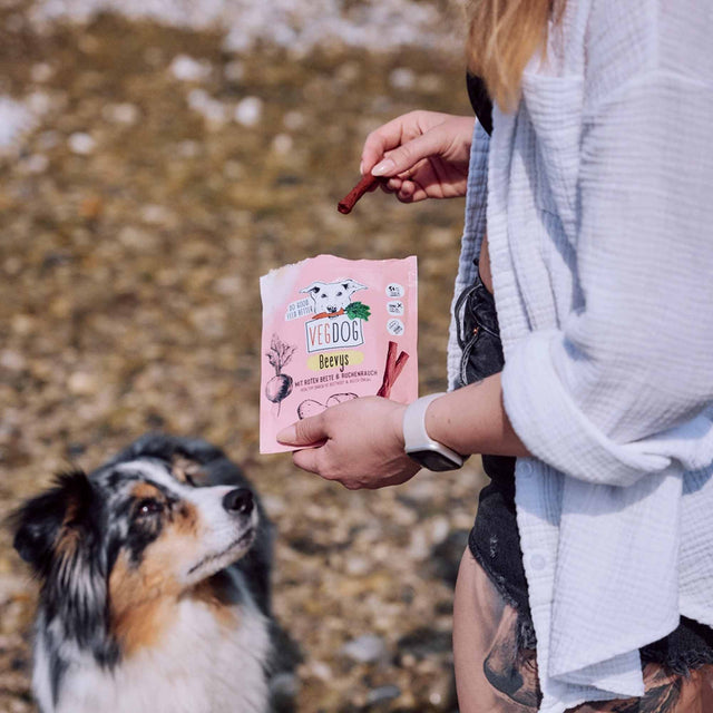 VEGDOG Hundeleckerli Vegan, Beevys Veggie