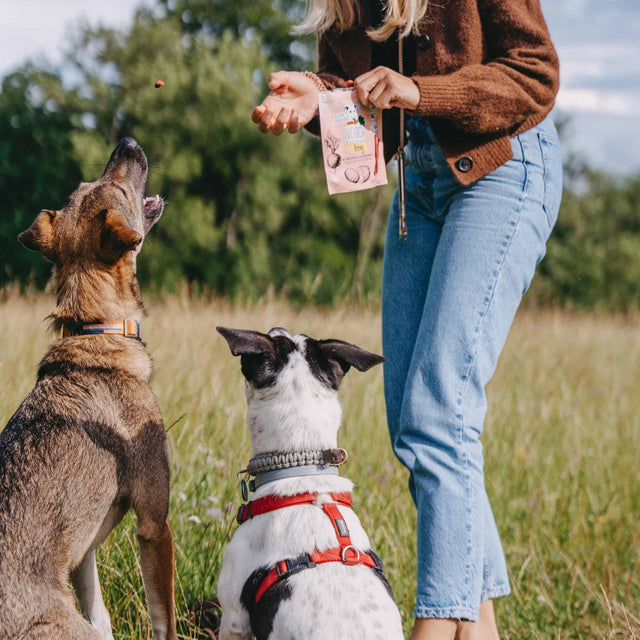 VEGDOG Hundeleckerli Vegan, Beevys Veggie