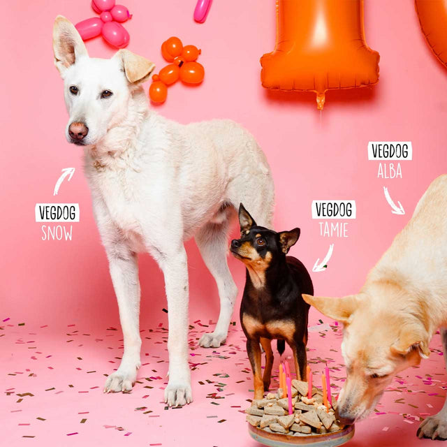 VEGDOG Hundekekse, Birthday Cookies Hundekeks