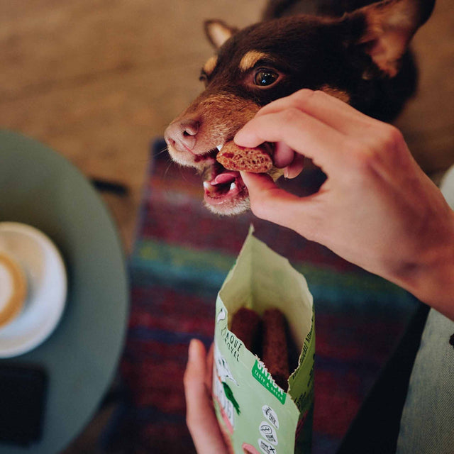 VEGDOG Hundesnack Vegan, Dentals Small Veggie