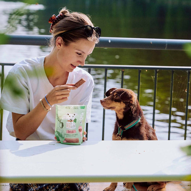 VEGDOG Hundesnack Vegan, Dentals Small Veggie