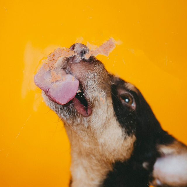 VEGDOG Levervurst, 75g Veggie