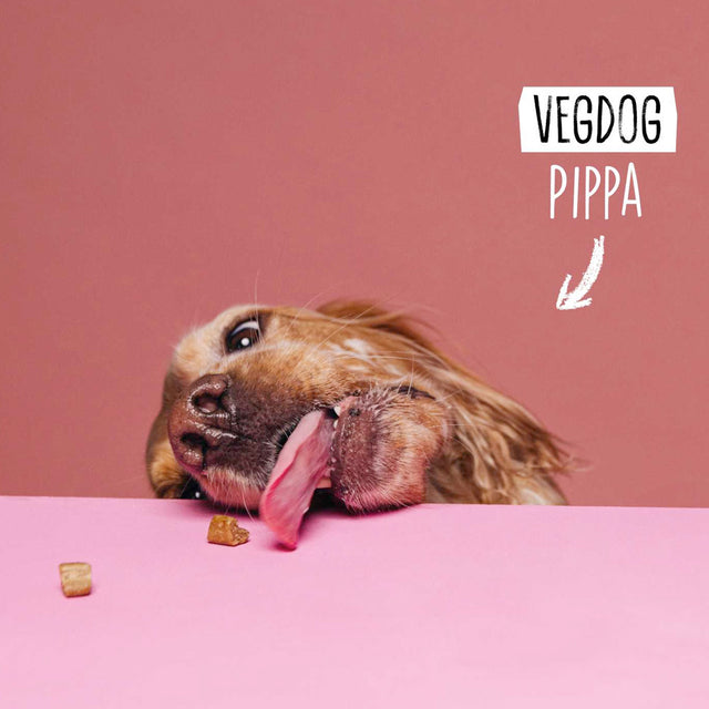 VEGDOG Hundesnack Vegan, Mobilities Minis Veggie