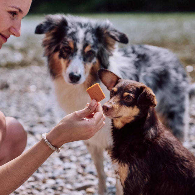 VEGDOG Hundeleckerli Vegan, Jerkeys Veggie