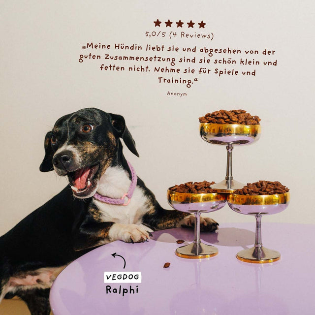 Hundeleckerli Vegan, Mini Pures