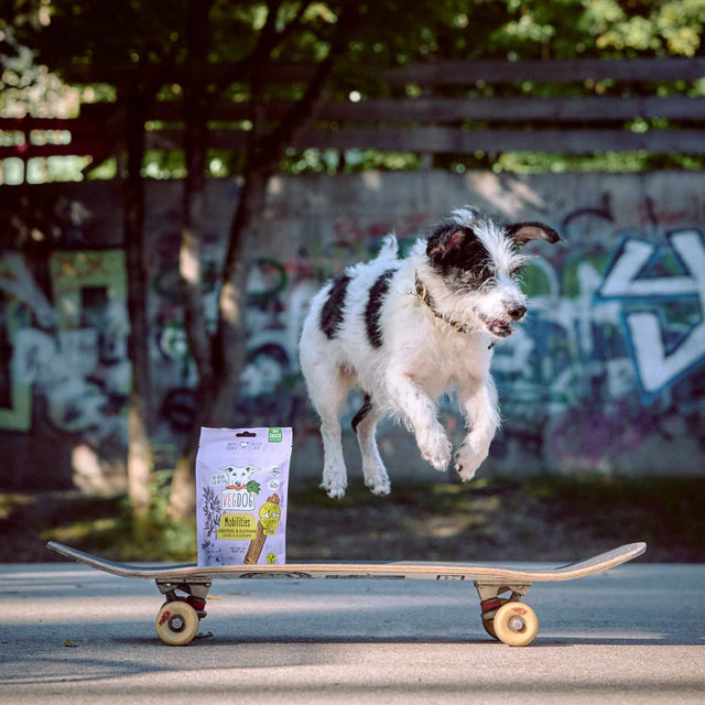 VEGDOG Hundesnack Vegan, Mobilities Veggie