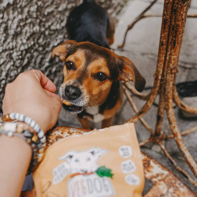 VEGDOG Hundeleckerli Vegan, Veggies Immune Veggie