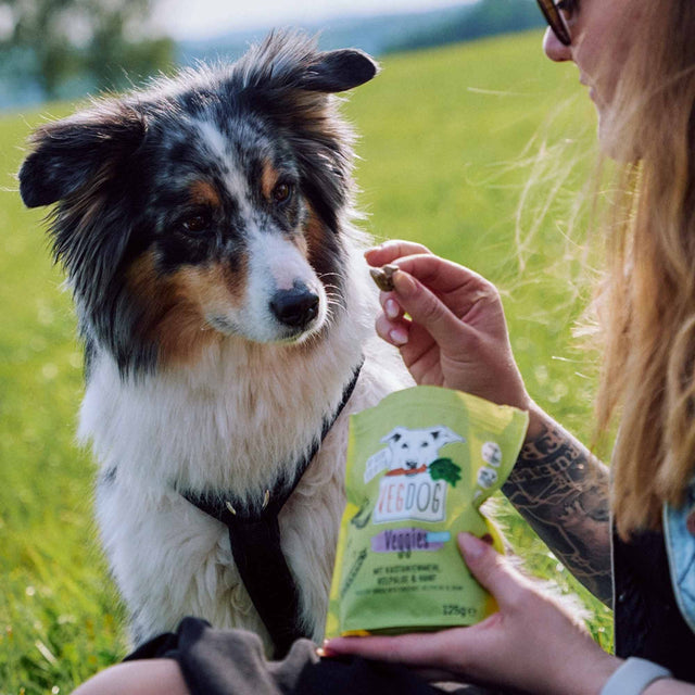 VEGDOG Hundeleckerli Vegan, Veggies Skincare Veggie