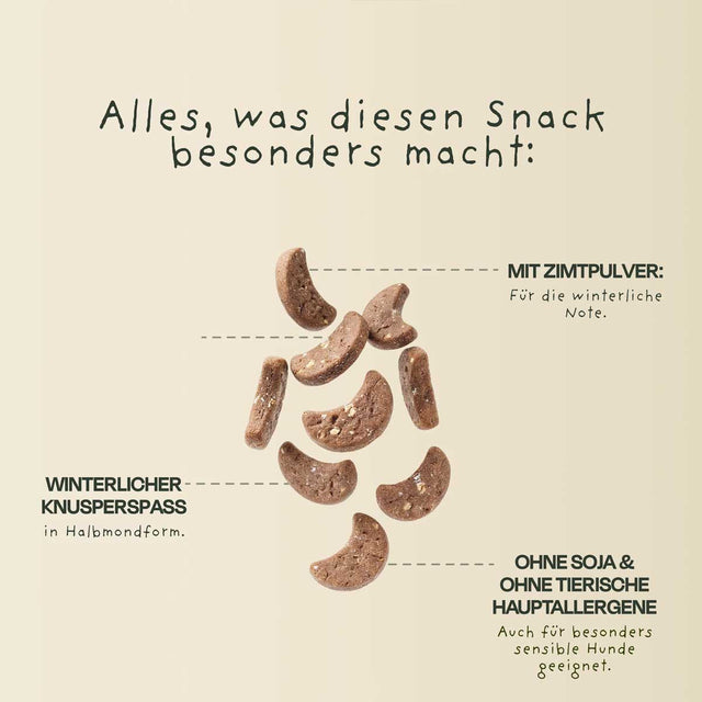 Hundekekse Winter Cookies